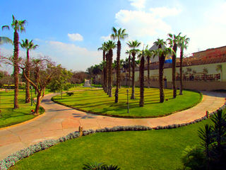 埃及旅游：自驾穿越撒哈拉沙漠行（图）