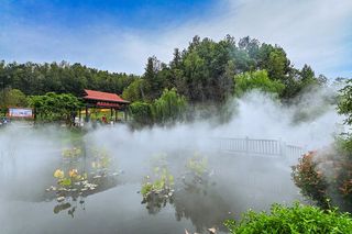 英山境内发现一处超美赏花地,几百亩郁金香花海绽放,灿烂又浪漫