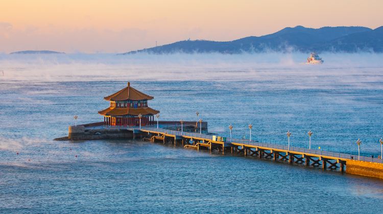 青島+6
