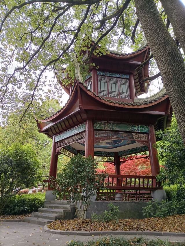 长坡岭国家森林公园旅行图片 2