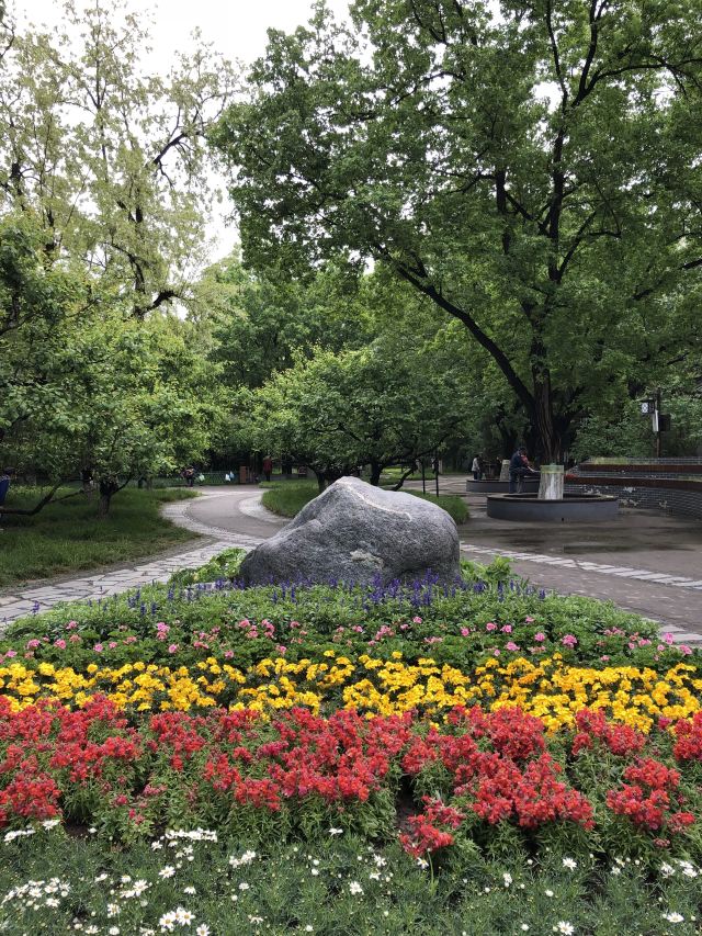 宣武艺园旅行图片 4