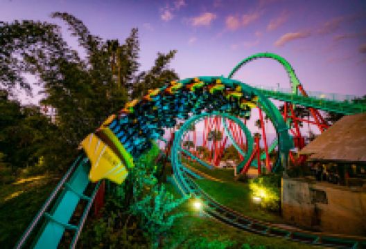 坦帕湾布希花园景点图片