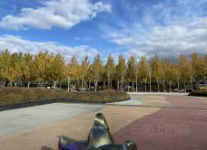 丁香公园-哈尔滨-云间上的猫