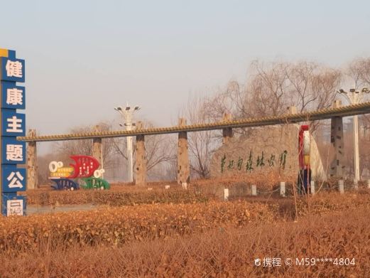 曹妃甸森林公园