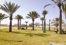 HaBsor National Park (Eshkol Park)景点图片