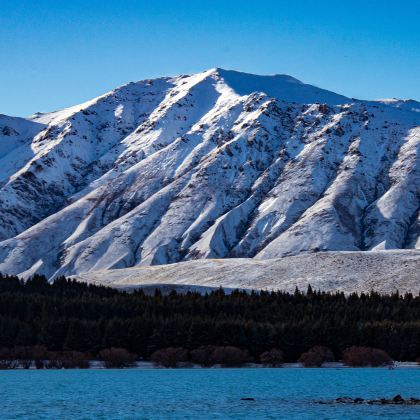 新西兰南岛+皇后镇+特卡波湖+凯库拉+奥玛鲁11日私家团