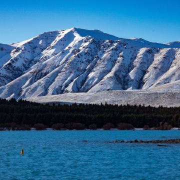 新西兰7日6晚私家团