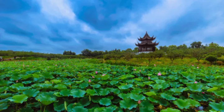 上海海灣國家森林公園