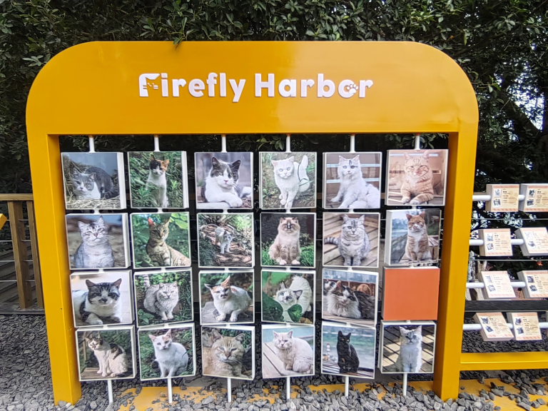 萤火虫港湾猫猫主题乐园