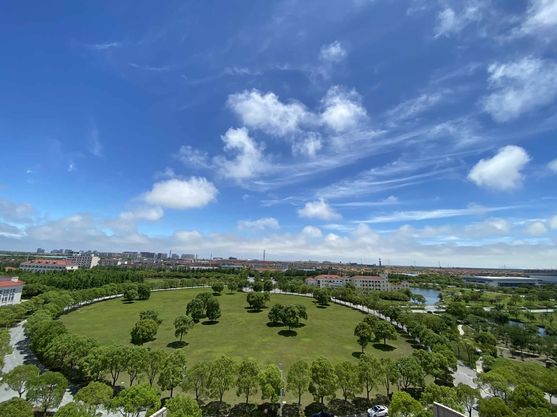 上海师范大学(奉贤校区)-樱花园