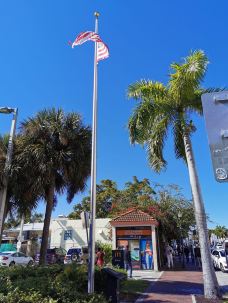 小哈瓦那-迈阿密-coolfox8