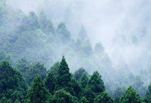 腊山国家森林公园景点图片