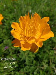 灯笼河草原-巴林左旗-沉默代言