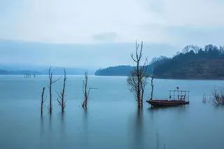 蔡强：醉美念湖