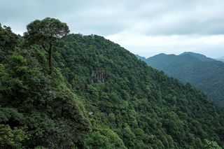 安远县有一处国家风景名胜区,为香港同胞饮用水源头,你去过吗?