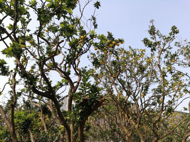 奇趣蛋壳公园旅行图片 1