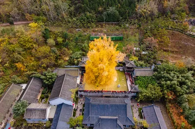 古观音禅寺