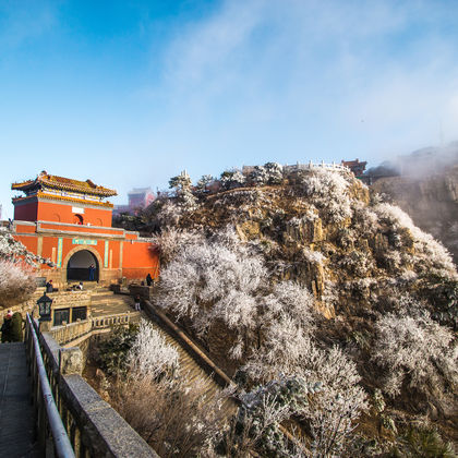 泰山风景区+玉皇顶+碧霞祠+十八盘一日游