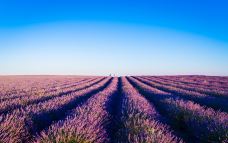 瓦朗索尔高原-瓦朗索勒