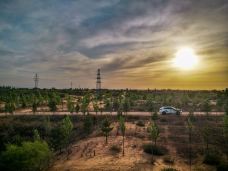 毛乌素沙漠-靖边-爱耍的周大爷