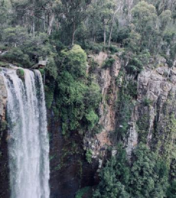 沃威克游记图文-玛丽皇后瀑布（昆士兰省南部丘陵地区）
