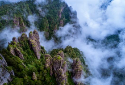 神农顶风景区景点图片
