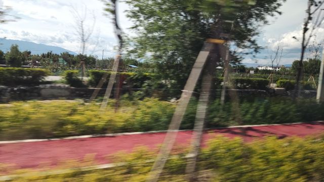 大理市罗时江生态湿地旅行图片 1