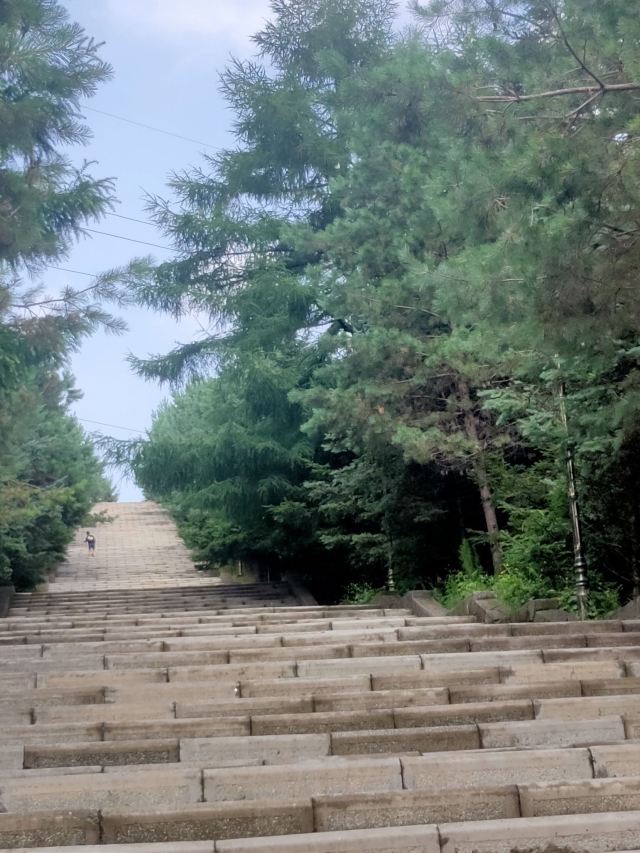 普陀山宗教文化风景区旅行图片 2