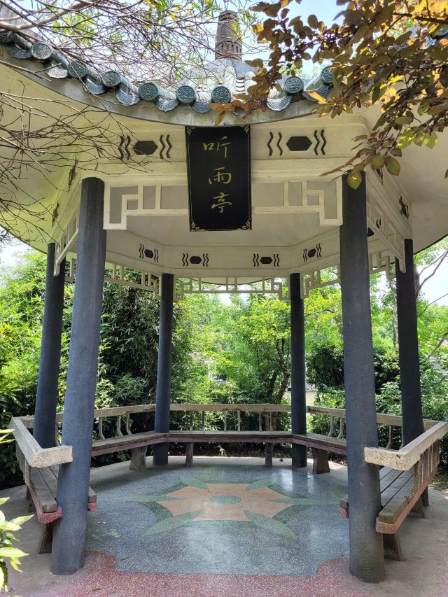 杨浦公园旅行图片 5
