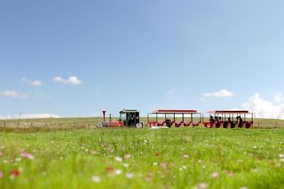 贵阳周边好玩的地方（草原、骑马、打卡网红娱乐项目）
