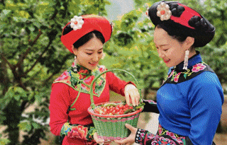 无忧展笑颜！汶川人的幸福，写在脸上！