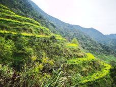 婺源-开心就好灬