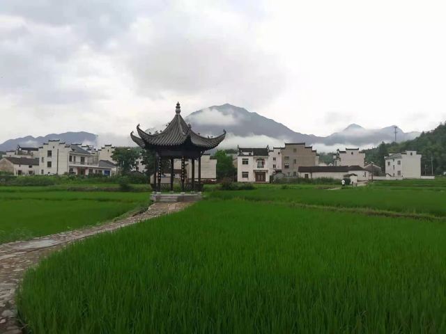 江村旅行图片 2
