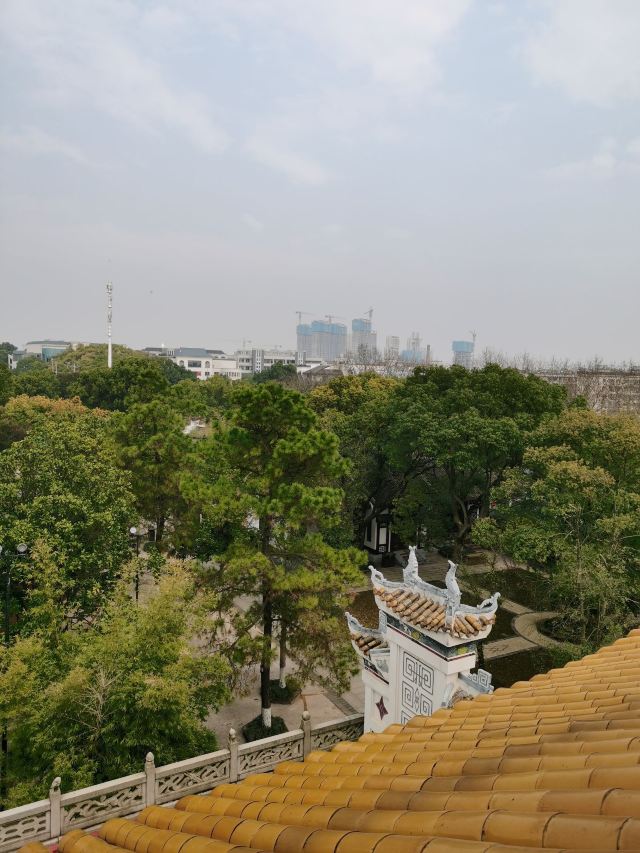 东洞庭湖国家级自然保护区旅行图片 2