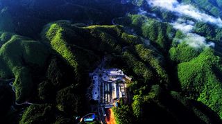 绥宁游记——楠木林