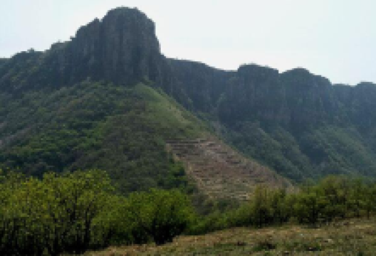 棠溪源国家森林公园景点图片