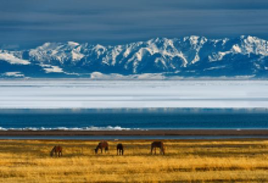 赛里木湖景点图片