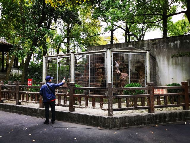 张堰公园旅行图片 1