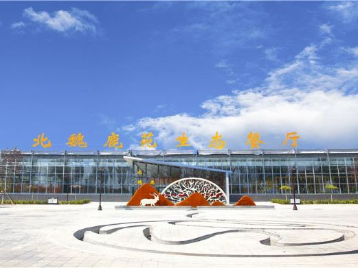 梦太空嘉年华