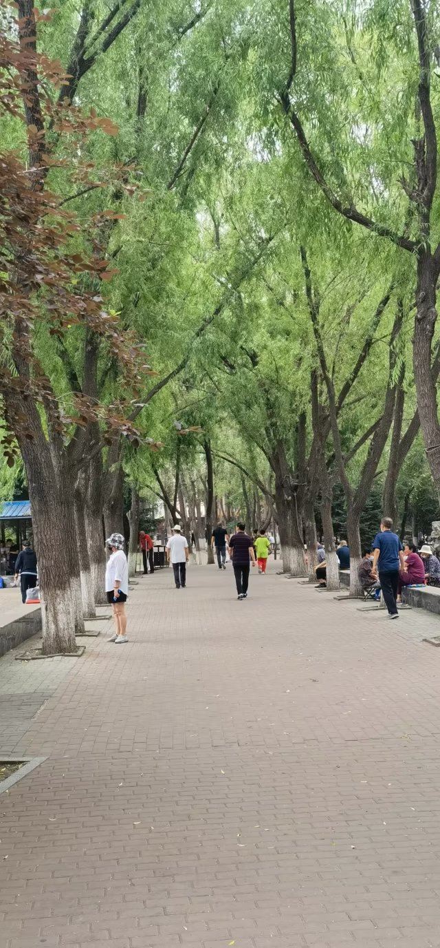 德惠公园旅行图片 9