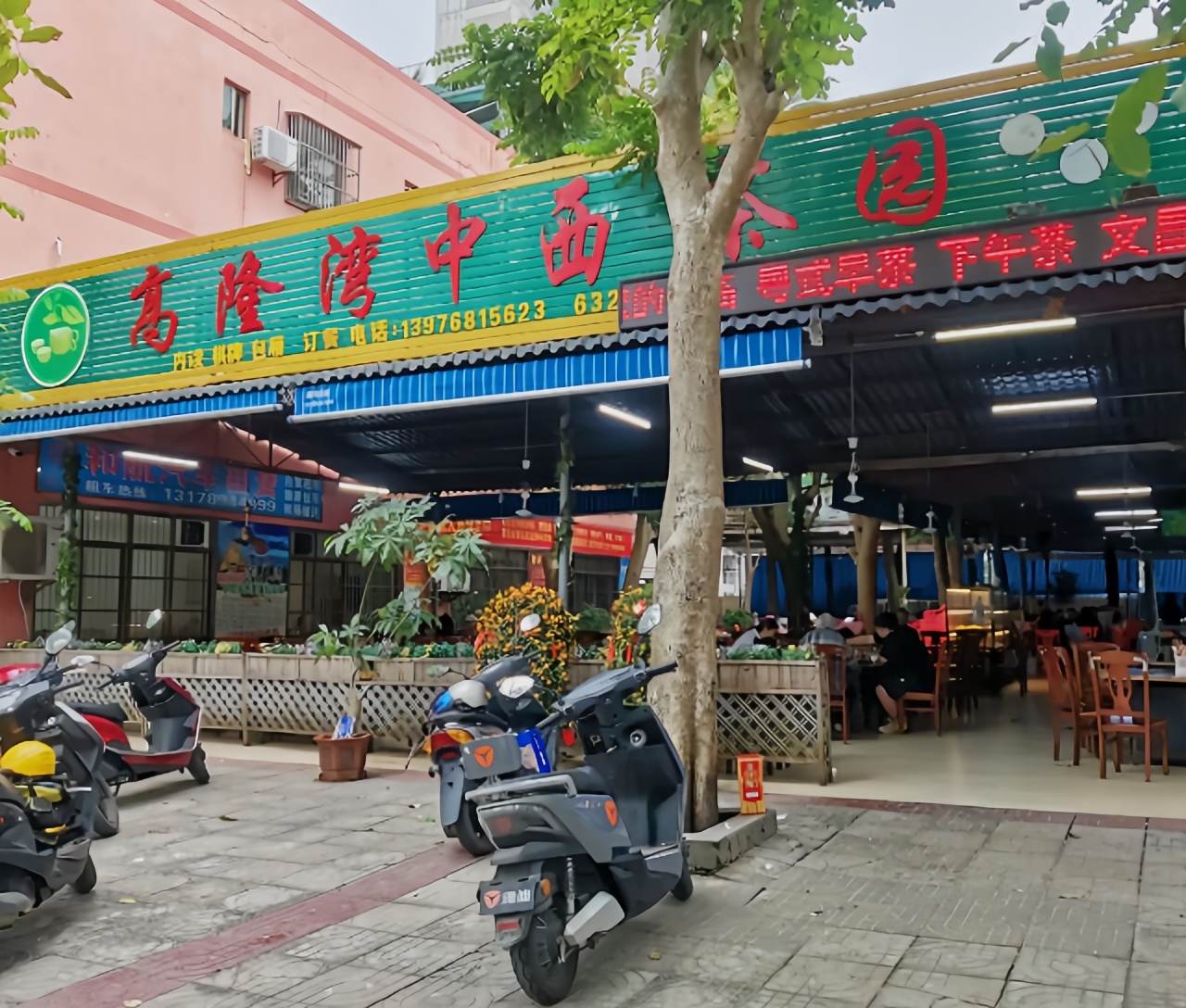 高隆湾中西茶园