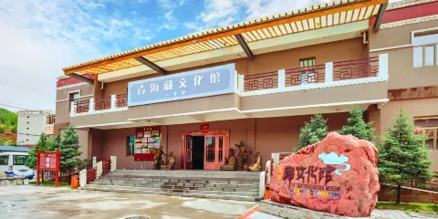 青海藏文化館