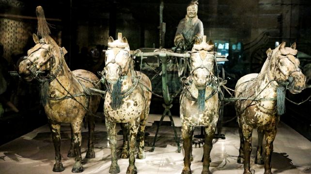 4-Day Xi’an Highlights Food & Culture Private Tour ·Terracotta Army, Xi'an City Wall and Big Wild Goose Pagoda丨Free Time Included