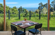 Tussock Hill Vineyard Cellar Door And Restaurant餐厅图片