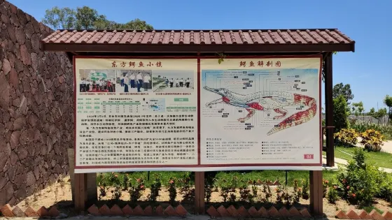 中國東方鱷魚小鎮