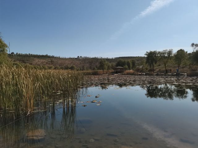哈拉沁吉沙公园旅行图片 3