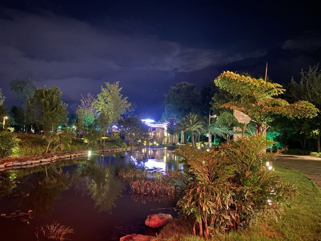 高黎贡山植物园旅行图片 2