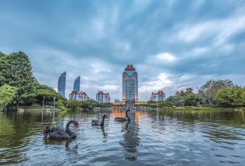 厦门大学一日游【2-6人私家小团上门接/可选鼓浪屿或植物园】【可选私人定制包车服务，全程时间充足，轻松自由行线路，家人般的接待2-6人精致小团专属服务】