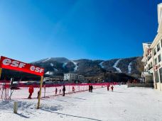 亚布力滑雪旅游度假区-尚志-真诚7577