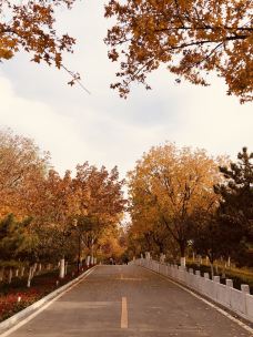 北宫国家森林公园-北京-雅志Sophia